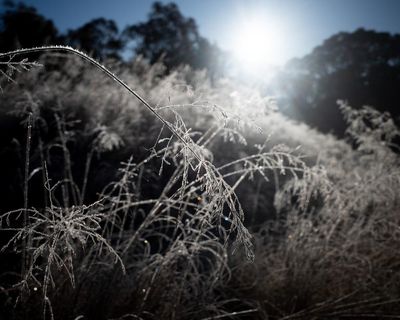 Australia’s east coast to shiver through cold nights as forecast warns of damaging winds