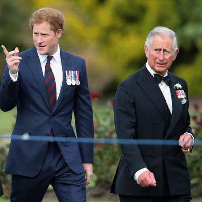 Prince Harry’s Latest ‘Olive Branch’ Could Be Rejected by ‘Wary’ King Charles