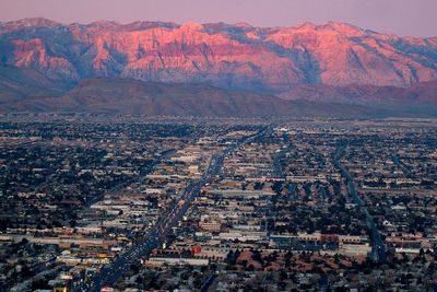 Four dogs die locked in hot car while owner got ‘plastered’ in Vegas