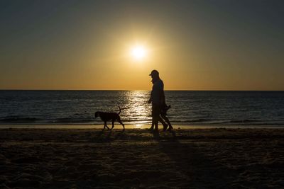 Hand injuries sustained by dog walkers cost NHS millions each year – study