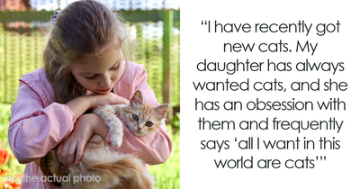 Man Demands Ex Rehomes Her Cats Because His New Wife Is “Deathly Allergic”