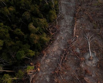 Rise in legal challenges over carbon credit schemes