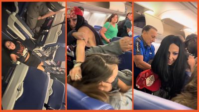 ‘That look of sheer entitlement’: Well-known NYC artist kicked off of plane after explosive meltdown and spitting on passengers