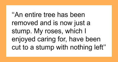 “I’m Sorry You’re Upset”: MIL Destroys Garden, Wife Returns To Ruins And Tears