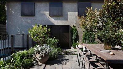 7 'Unkillable' Plants to Create a Beautiful But Low-Maintenance Patio Container Garden
