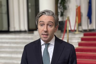 Irish deputy premier to include services from Israeli settlements in trade ban