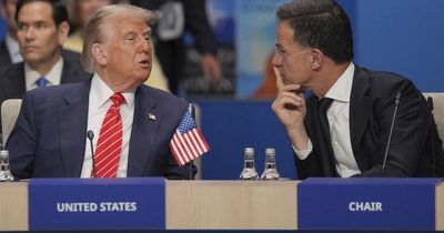 Nato chief calls Donald Trump 'Daddy' during press conference