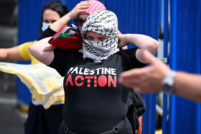 What is the Palestine Action group, and why is the UK banning it?