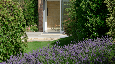 How to Future-Proof Your Garden's Landscaping for Hotter Summers (Without Sacrificing Style)