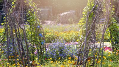 How to plan a kitchen garden – a step-by-step guide to choosing the ideal layout, selecting the best crops, and making it look utterly beautiful