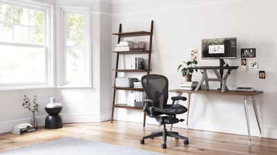 Herman Miller Aeron review: built to fit you, not the other way around