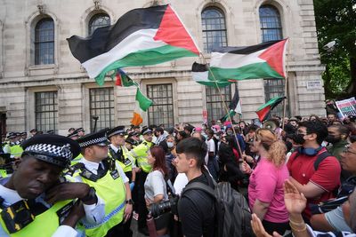Woman arrested after Palestine Action rally denies assault charges in court