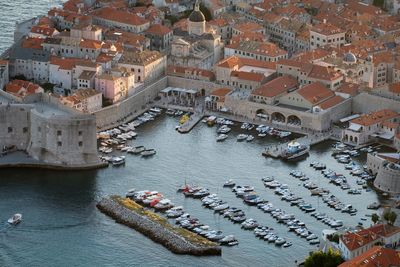 Diver makes remarkable discovery near Dubrovnik’s stone walls