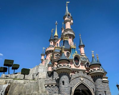 Briton accused of staging Disneyland mock wedding with child is charged with fraud offences in France