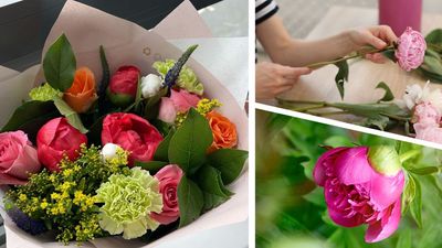 When are peonies in season? Professional florists reveal the best time to grab a bunch