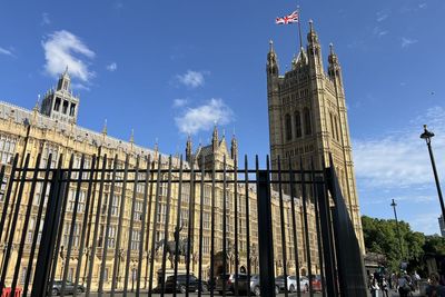 Police guarding Parliament think new security fence is ‘dangerous’, says author