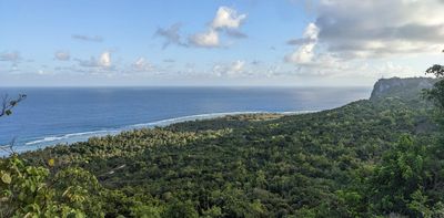 Remote cave discovery shows ancient voyagers brought rice across 2,300km of Pacific Ocean