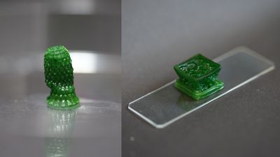 Scientists invent photosynthetic 'living' material that sucks CO2 out of the atmosphere