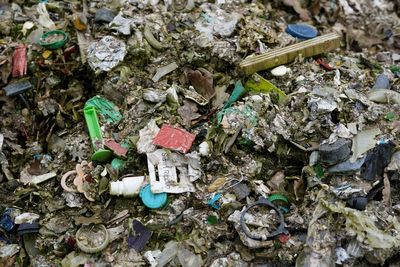 Hazardous waste among 30,000 tonnes of rubbish dumped in woods linked to organised crime