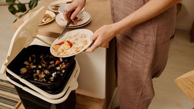 9 experts tips to keep your trash can clean and kitchen insect-free this summer