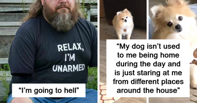 50 Hilarious Posts To Show That The Internet Hasn’t Lost Its Humor