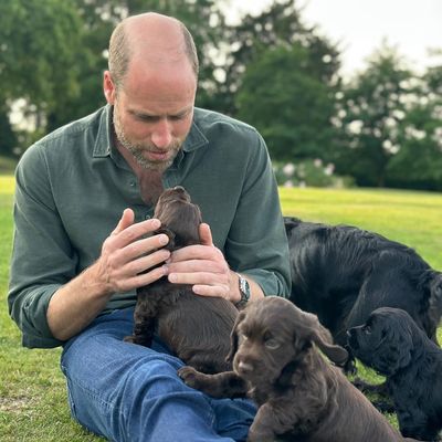 Prince William's Birthday Photo Contains a Clue About the Wales Family's New Puppy Plan