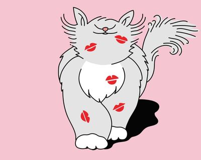You be the judge: should my partner stop trying to kiss me after kissing the cat?