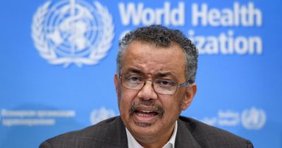 World Health Organisation chief to attend opening of Edinburgh research hub