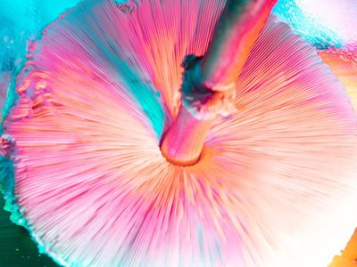 The psychedelic front line: how magic mushrooms and MDMA could cure ravaged soldiers’ PTSD