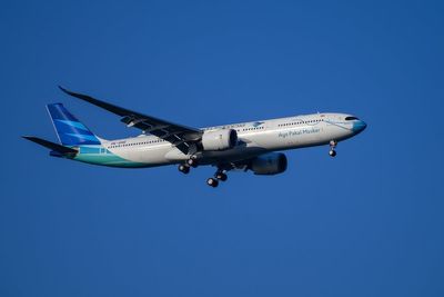 Entire flight crew suspended after search for passenger’s stolen phone