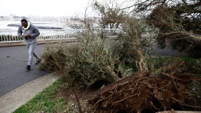 Two dead in French storms that flood streets and cause parliament roof to leak