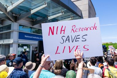 Cancer experts alarmed over ‘gut-wrenching’ Trump plan to cut research spending by billions