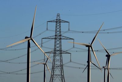 British billpayers saved £300m through energy flexibility in 2024, figures show