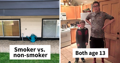 49 Captivating Comparison Photos That Challenge Your Perception (New Pics)