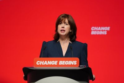 Police’s disposal of miners’ strike documents ‘deeply worrying’ – Lucy Powell