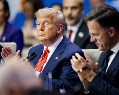 The Donald laps it up as Nato leaders compete to shower him with sycophancy