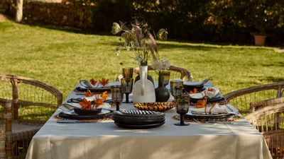 I'm Calling It — This £3 Styling Trick Is the Biggest Hosting Game-Changer for Garden Parties This Summer