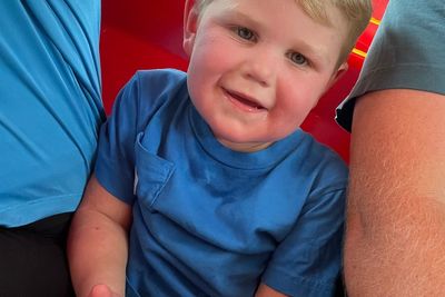 Georgia toddler left fighting for life after being stung by yellow jackets over 150 times and suffering organ failure