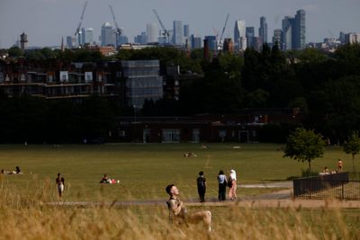 Which areas in London are at most risk of wildfires as third heatwave of summer to hit this weekend?