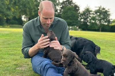 Peta claims Prince William and Kate are ‘staggeringly out of touch’ after pet dog has puppies