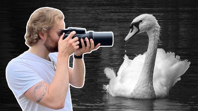 I’d buy this monster $1000 camera if I were a wildlife enthusiast first and a photographer second