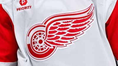 The new Detroit Red Wings logo is a soaring success