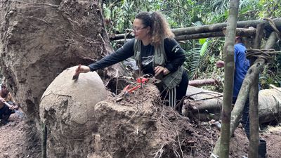 Indigenous funeral urns discovered on human-made islands in Amazon rainforest