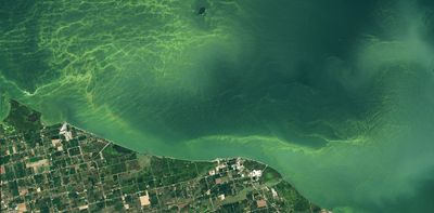 Toxic algae blooms are lasting longer in Lake Erie − why that’s a worry for people and pets