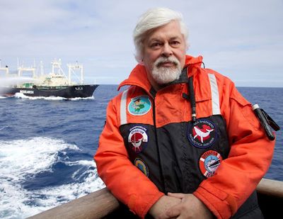 Why Krill Conservation is Vital for Preserving the Whale Ecosystem: Exploring Captain Paul Watson's Synergistic Mission