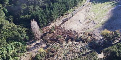 One bad rainstorm away from disaster: why proposed changes to forestry rules won’t solve the ‘slash’ problem