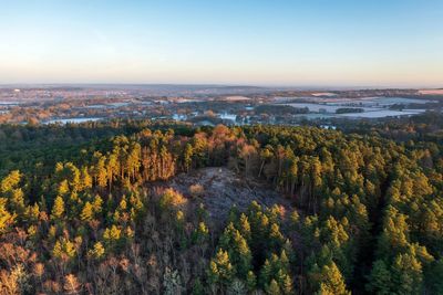 Home of ‘Devil’s Punch bowl’ in Surrey declared national nature reserve