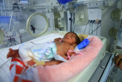 UN reports uptick in preventable diseases in Gaza due to Israeli blockade