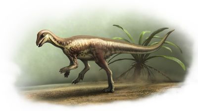 Mysterious 'runner' dinosaur a sign there are more Jurassic secrets to unlock beneath western US
