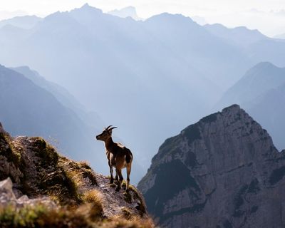 ‘If you love adventure but not tourists’: readers’ favourite wild places in Europe